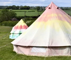 Cheery Colourful Bell Tent camping, Northallerton